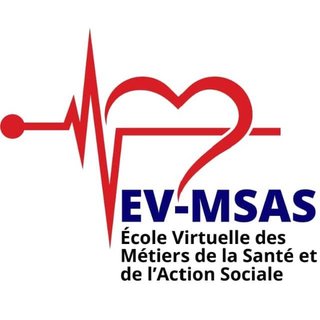 Logo EV‑MSAS