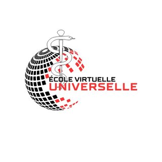 Logo École Virtuelle Universelle
